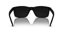 Gafas de sol Arnette 0AN4185