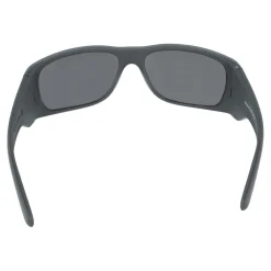 Gafas de sol Arnette FLIPSIDE 0AN4345