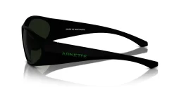 Gafas de sol Arnette ILUM 2.0 0AN4342