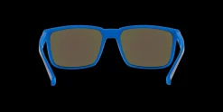 Gafas de sol Arnette STRIPE 0AN4251