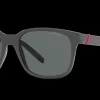 Gafas de sol Arnette SURRY H 0AN4320