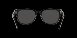Gafas de sol Arnette TYPE Z 0AN4294