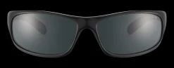 Gafas de sol Bollé ANACONDA 10339