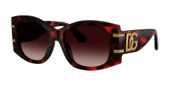 Gafas de sol D&G 0DG4501