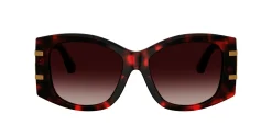 Gafas de sol D&G 0DG4501