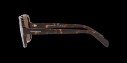 Gafas de sol Emporio Armani 0EA4195