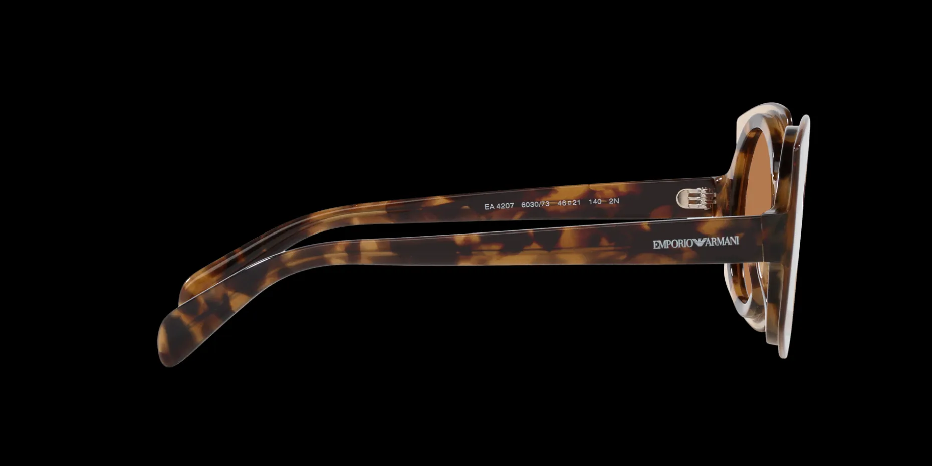 Gafas de sol Emporio Armani 0EA4207