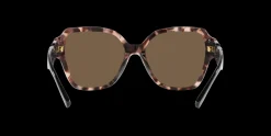 Gafas de sol Emporio Armani 0EA4202