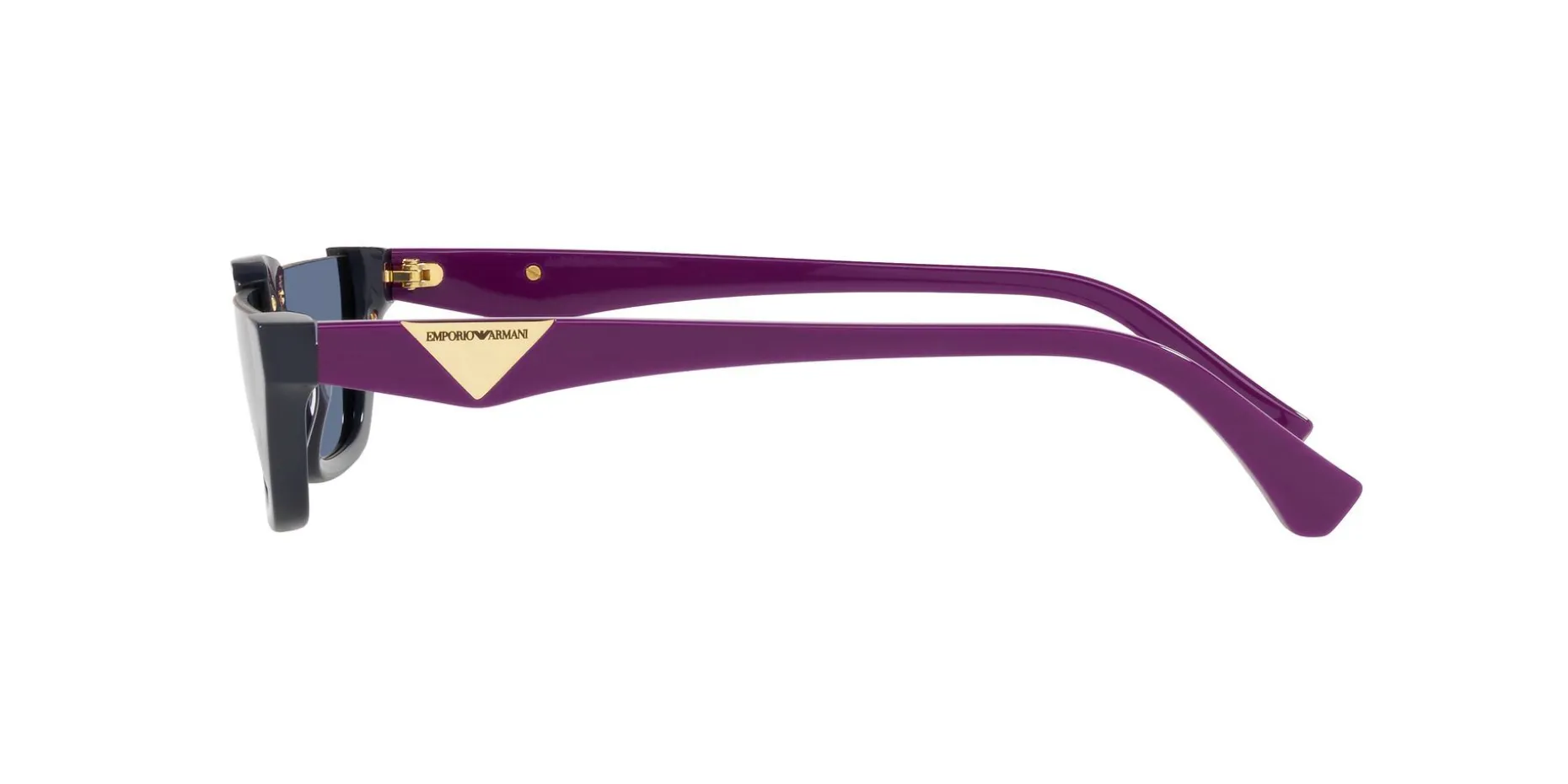 Gafas de sol Emporio Armani 0EA4174