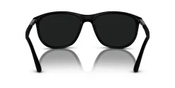 Gafas de sol Emporio Armani 0EA4201