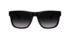 Gafas de sol Emporio Armani 0EA4163