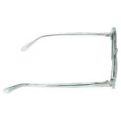 Gafas de sol Emporio Armani 0EA 501M