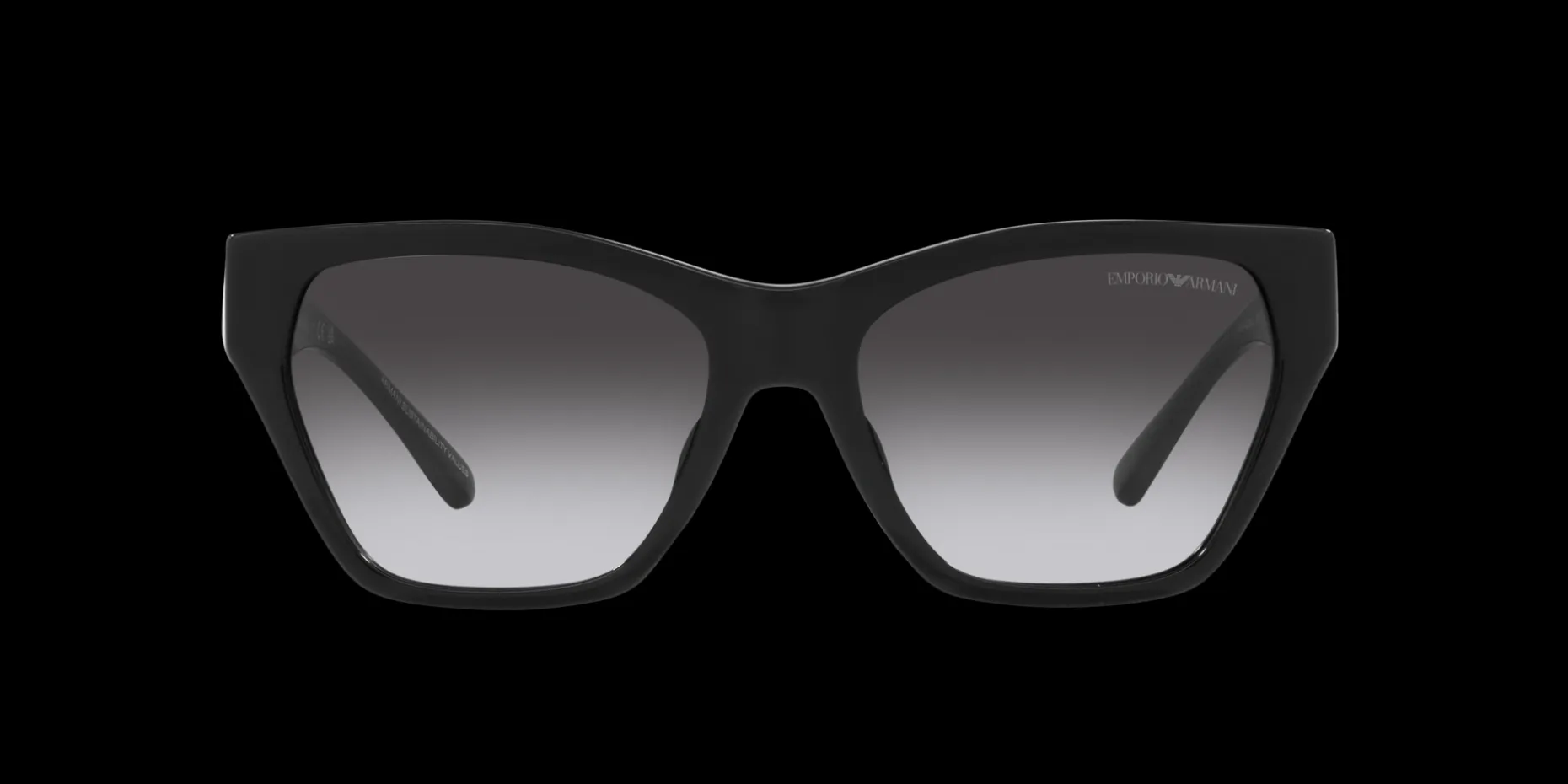 Gafas de sol Emporio Armani 0EA4203U