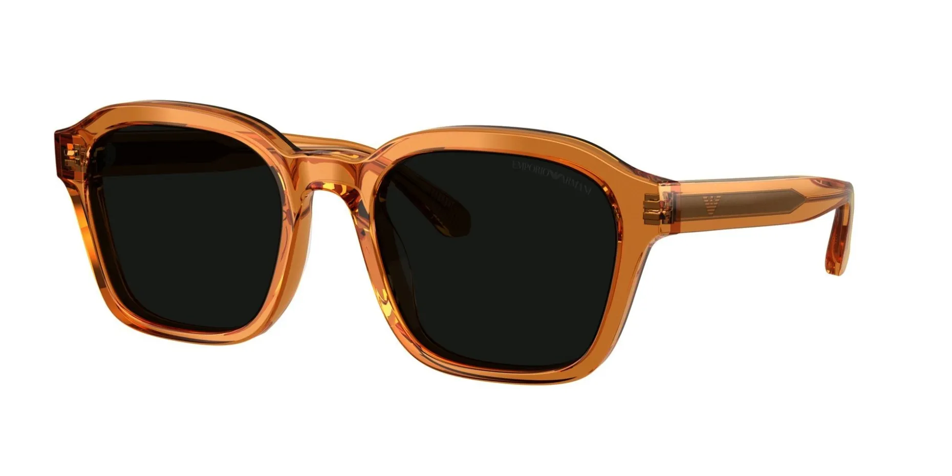 Gafas de sol Emporio Armani 0EA4245U