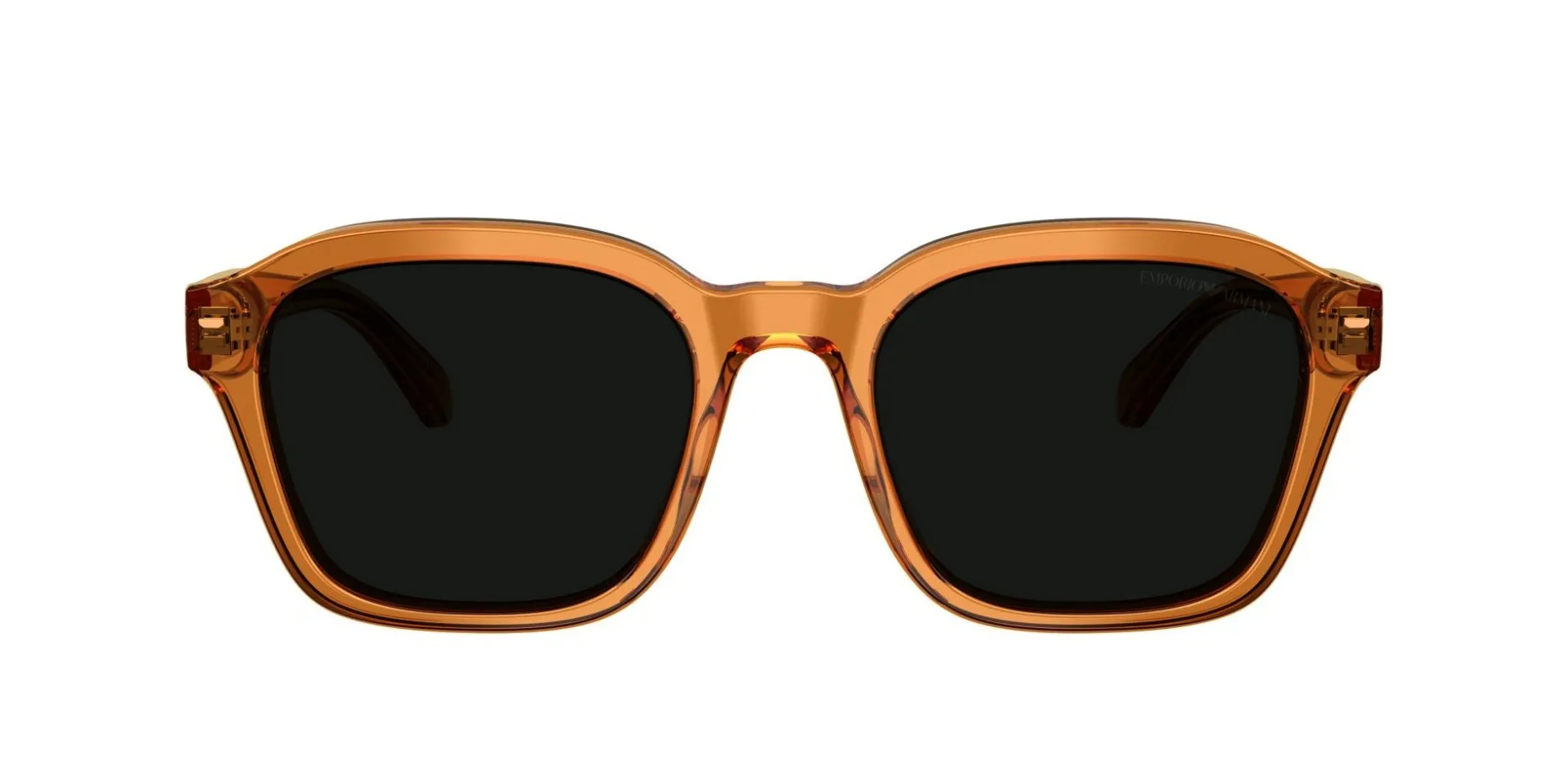Gafas de sol Emporio Armani 0EA4245U
