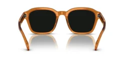 Gafas de sol Emporio Armani 0EA4245U