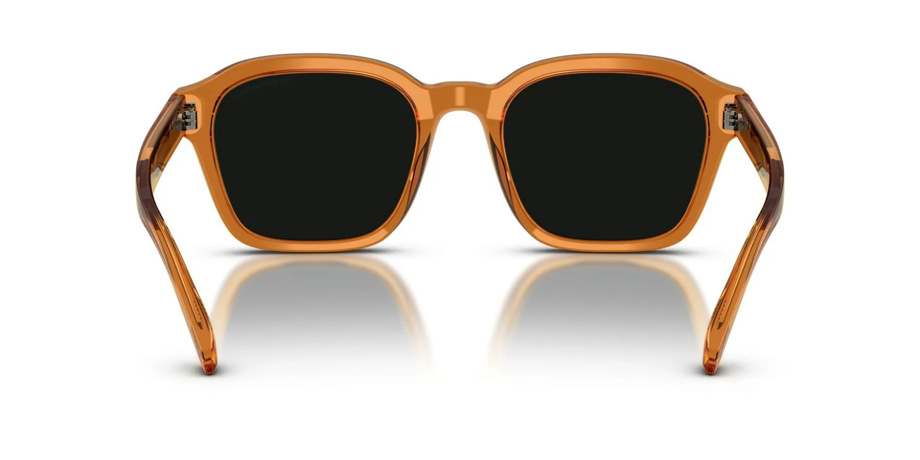 Gafas de sol Emporio Armani 0EA4245U