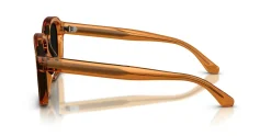 Gafas de sol Emporio Armani 0EA4245U