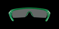 Gafas de sol Emporio Armani 0EA4204U