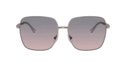 Gafas de sol Ralph Lauren 0RA4142