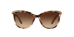 Gafas de sol Ralph Lauren 0RA5203