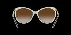 Gafas de sol Ralph Lauren RA 5150 0RA5150