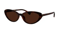 Gafas de sol Ralph Lauren 0RA5338U