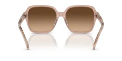 Gafas de sol Ralph Lauren 0RA5304U
