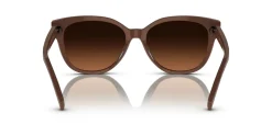 Gafas de sol Ralph Lauren 0RA5305U