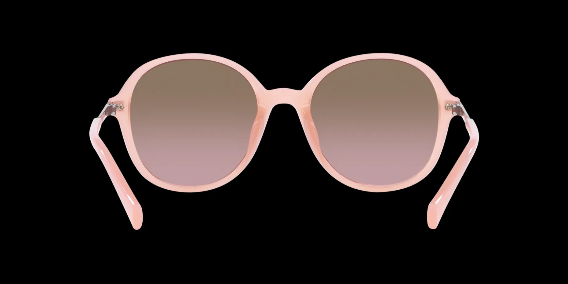 Gafas de sol Ralph Lauren 0RA5297U