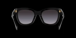Gafas de sol Ralph Lauren 0RA5301U