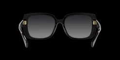Gafas de sol Ralph Lauren 0RA5298U