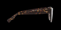 Gafas de sol Ralph Lauren 0RA5303U