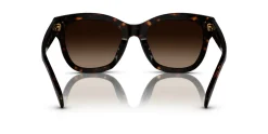 Gafas de sol Ralph Lauren 0RA5301U