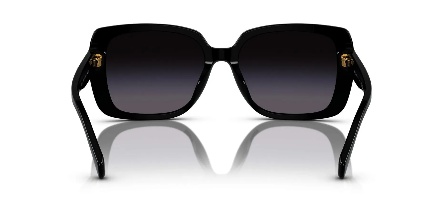Gafas de sol Ralph Lauren 0RA5298U