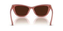 Gafas de sol Ralph Lauren 0RA5346U