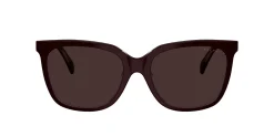 Gafas de sol Ralph Lauren 0RA5343U