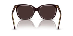 Gafas de sol Ralph Lauren 0RA5343U
