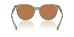 Gafas de sol Ralph Lauren 0RA5331U