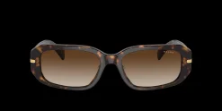 Gafas de sol Ralph Lauren 0RA5311U