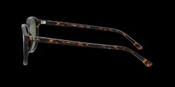 Gafas de sol Ray Ban LEONARD 0RB2193