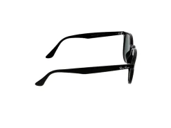 Gafas de sol Ray Ban 0RB4259