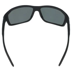 Gafas de sol Bollé FENIX BS136009