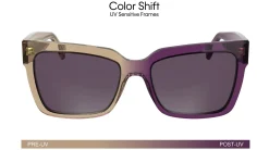 Gafas de sol Calvin Klein CKJ24606S