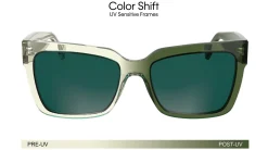 Gafas de sol Calvin Klein CKJ24606S