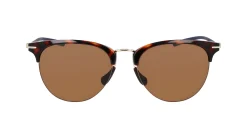 Gafas de sol Nike NIKE DIVOT PL EV24040