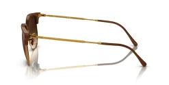 Gafas de sol Ray Ban NEW CLUBMASTER 0RB4416