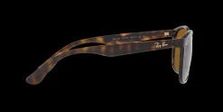 Gafas de sol Ray Ban 0RB4374