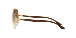 Gafas de sol Ray Ban 0RB3675