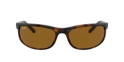 Gafas de sol Ray Ban 0RB2027